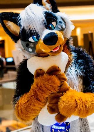 furry hmv|Yiffer.xyz.
